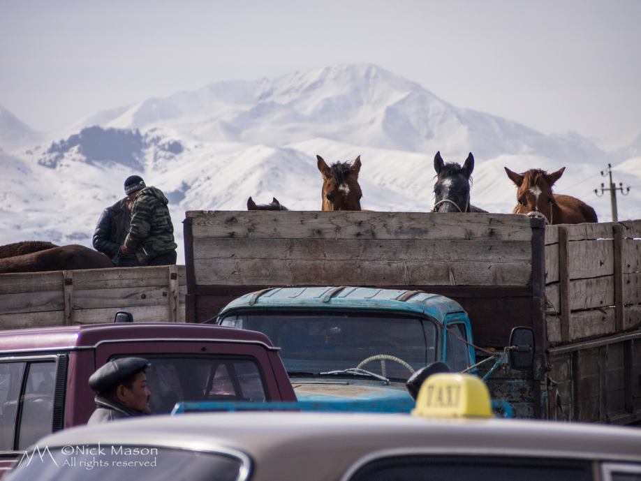 02 Karakol cattle market
