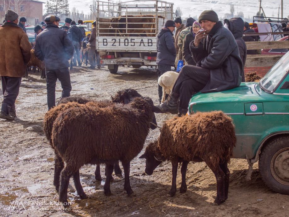 03 Karakol cattle market