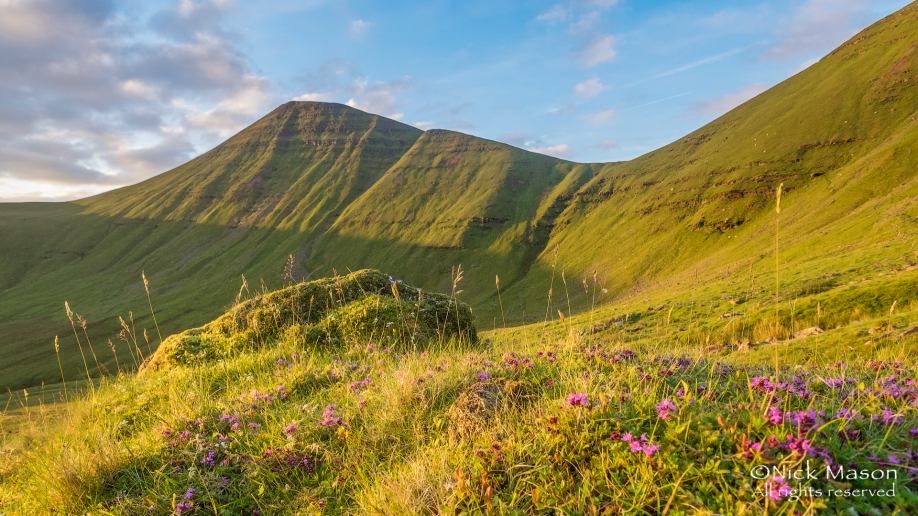 13 Midsummer morning in Cwm Sere