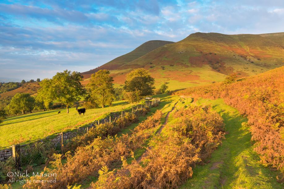 36 The golden hour, Black Mountains