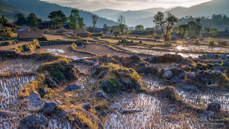 03 Paddy fields in the village of Okhreni reflect the setting sun
