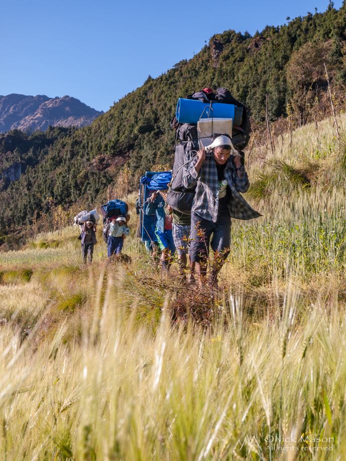 22 Porters pass through fields of barley