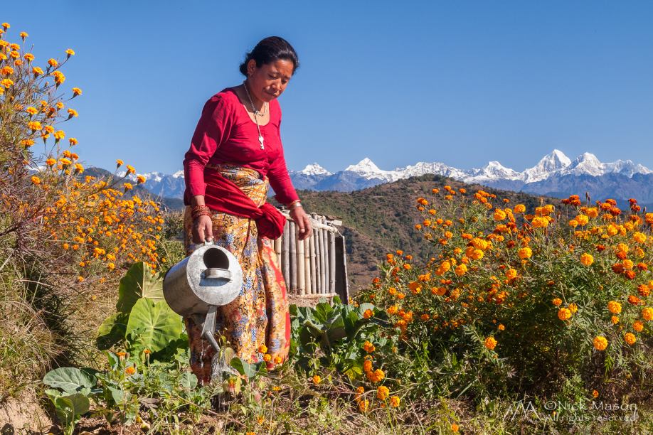 19 A Tamang woman waters her garden near the village of Chisapani