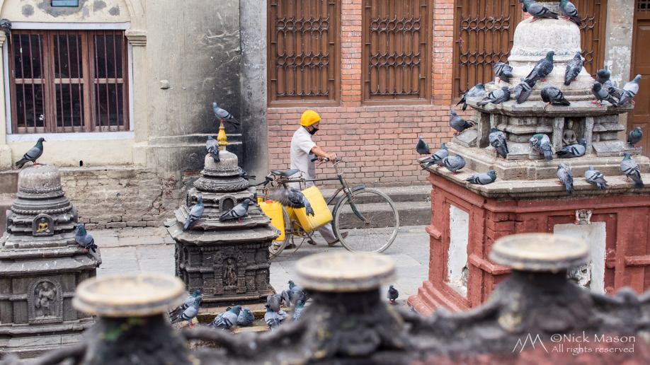 21 Pigeons at Kathesimbhu Stupa